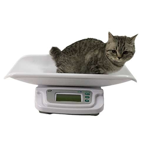 vesy-veterinarnye-midl-mt-karapuz-20-vzha-5gr-vettochka-ba-batarejki-cet